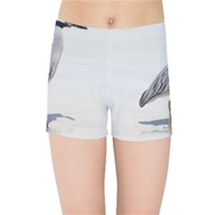 Beach Heron Bird Kids  Sports Shorts by TheLazyPineapple