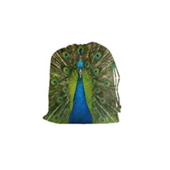 Peacock Feathers Bird Nature Drawstring Pouch (small) by Vaneshart