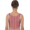 Nice Stripes - Indian Red Velvet Crop Top View2
