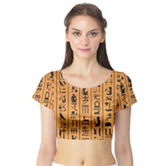 Egyptian Hieroglyphs Ancient Egypt Letters Papyrus Background Vector Old Egyptian Hieroglyph Writing Short Sleeve Crop Top by Wegoenart