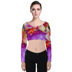 Poppy Flower Velvet Long Sleeve Crop Top by Sparkle