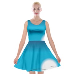 Fishing Velvet Skater Dress by Sparkle