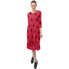Seamless Watermelon Surface Texture Ruffle End Midi Chiffon Dress by Vaneshart