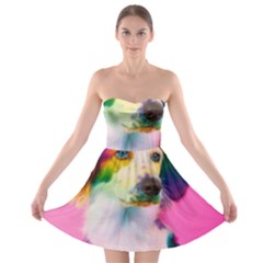 Rainbowdog Strapless Bra Top Dress by Sparkle