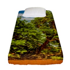 Carob Tree, Talampaya National Park, La Rioja, Argentina Fitted Sheet (single Size) by dflcprintsclothing