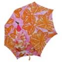 color of world Hook Handle Umbrellas (Medium) View2
