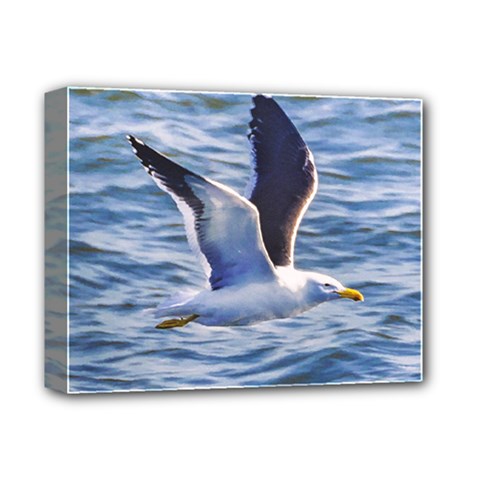 Seagull Flying Over Sea, Montevideo, Uruguay Deluxe Canvas 14  X 11  (stretched) by dflcprintsclothing