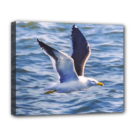Seagull Flying Over Sea, Montevideo, Uruguay Deluxe Canvas 20  X 16  (stretched) by dflcprintsclothing