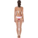 Flag of Austria Perfectly Cut Out Bikini Set View2