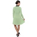 Tea Green & Black - Long Sleeve Chiffon Shirt Dress View2
