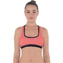 Living Coral - Cross Back Hipster Bikini Top  View1