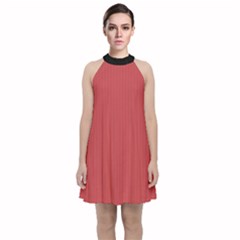 English Vermillion - Velvet Halter Neckline Dress  by FashionLane