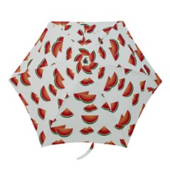 Summer Watermelon Pattern Mini Folding Umbrellas by Dutashop
