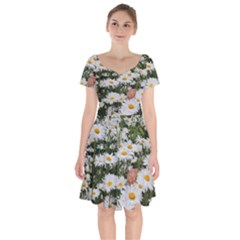 Champs De Marguerites Short Sleeve Bardot Dress by kcreatif