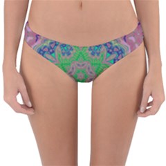 Spring Flower3 Reversible Hipster Bikini Bottoms by LW323