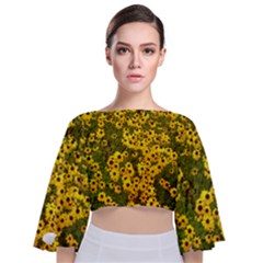 Daisy May Tie Back Butterfly Sleeve Chiffon Top by LW323