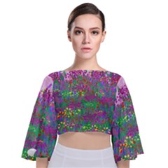 Bay Garden Tie Back Butterfly Sleeve Chiffon Top by LW323