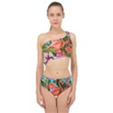 Exotisme Spliced Up Two Piece Swimsuit View1