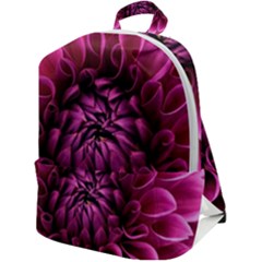 Dahlia-flower-purple-dahlia-petals Zip Up Backpack by Sapixe