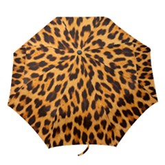 Fur 5 Folding Umbrellas by skindeep