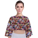 Retro Color Tie Back Butterfly Sleeve Chiffon Top View1