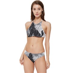 Lobo-lunar Banded Triangle Bikini Set by mundodeoniro