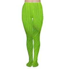 Banana Leaf Tights by artworkshop