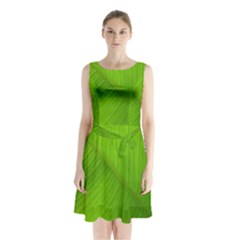Banana Leaf Sleeveless Waist Tie Chiffon Dress by artworkshop