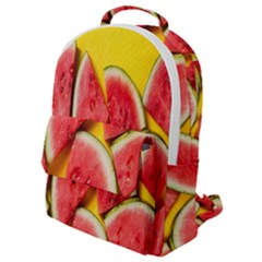 Watermelon Flap Pocket Backpack (small) by artworkshop