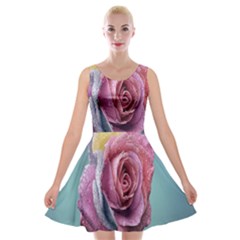 Rose Flower Love Romance Beautiful Velvet Skater Dress by artworkshop