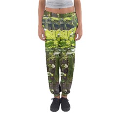 Bitter Melon Women s Jogger Sweatpants by artworkshop