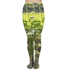Bitter Melon Tights by artworkshop