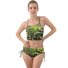 Bitter Melon Mini Tank Bikini Set by artworkshop
