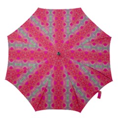 Devine Connection Hook Handle Umbrellas (medium) by Thespacecampers