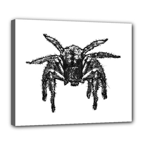 Front View Big Spider Graphic 2 Deluxe Canvas 24  X 20  (stretched) by dflcprintsclothing