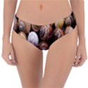 Snail Shells Pattern Arianta Arbustorum Reversible Classic Bikini Bottoms View1
