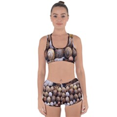 Snail Shells Pattern Arianta Arbustorum Racerback Boyleg Bikini Set by artworkshop