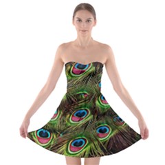 Peacock-feathers-color-plumage Strapless Bra Top Dress by Celenk