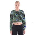 Plumage Peacock Feather Colorful Cropped Sweatshirt View1