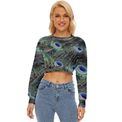 Plumage Peacock Feather Colorful Lightweight Long Sleeve Sweatshirt by Sapixe