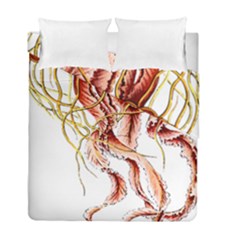 Animal Art Forms In Nature Jellyfish Duvet Cover Double Side (full/ Double Size) by Sapixe