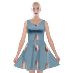 Flamingo Birds Plumage Sea Water Animal Exotic Velvet Skater Dress by artworkshop