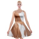 Horse Coat Animal Equine Velvet Skater Dress View1