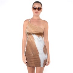 Horse Coat Animal Equine One Soulder Bodycon Dress by artworkshop