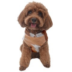 Horse Coat Animal Equine Dog Sweater by artworkshop