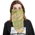 Green Pattern Texture Marble Face Covering Bandana (Triangle) View1