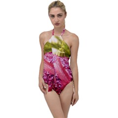 Christmas Decoration 7 Go With The Flow One Piece Swimsuit by artworkshop