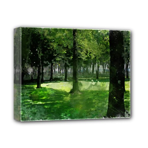 Beeches Trees Tree Lawn Forest Nature Deluxe Canvas 14  X 11  (stretched) by Wegoenart