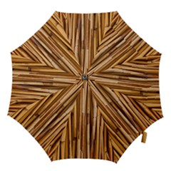 Asian Background Bamboo Hook Handle Umbrellas (large) by Wegoenart