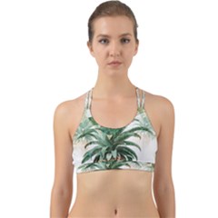 Pineapple Pattern Background Seamless Vintage Back Web Sports Bra by Wegoenart